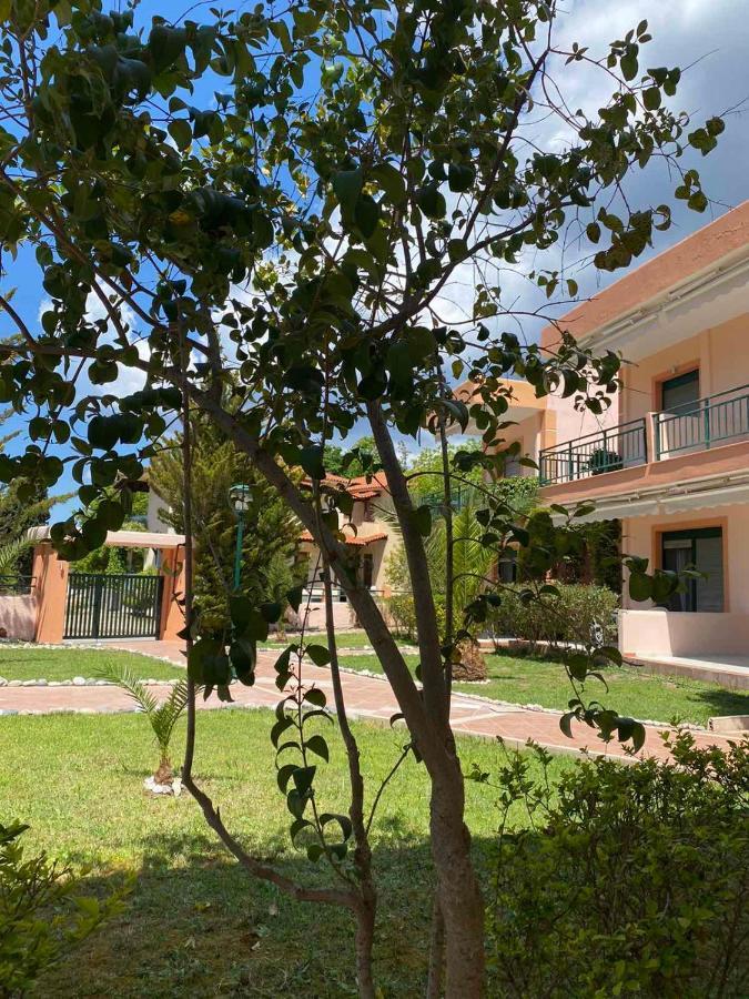 Alexandra Apartments Nikiti  Exterior photo